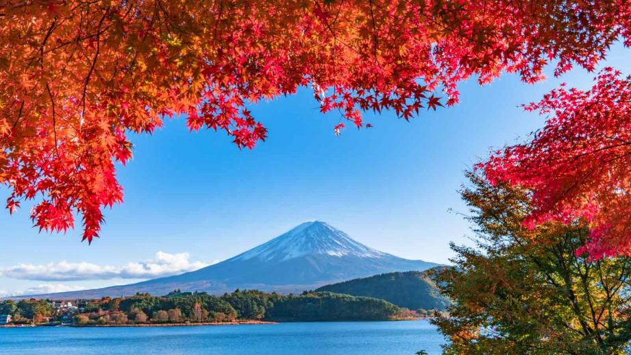Mt. Fuji & Lake Kawaguchi & Hikawa Clock Shop Day Tour from Tokyo