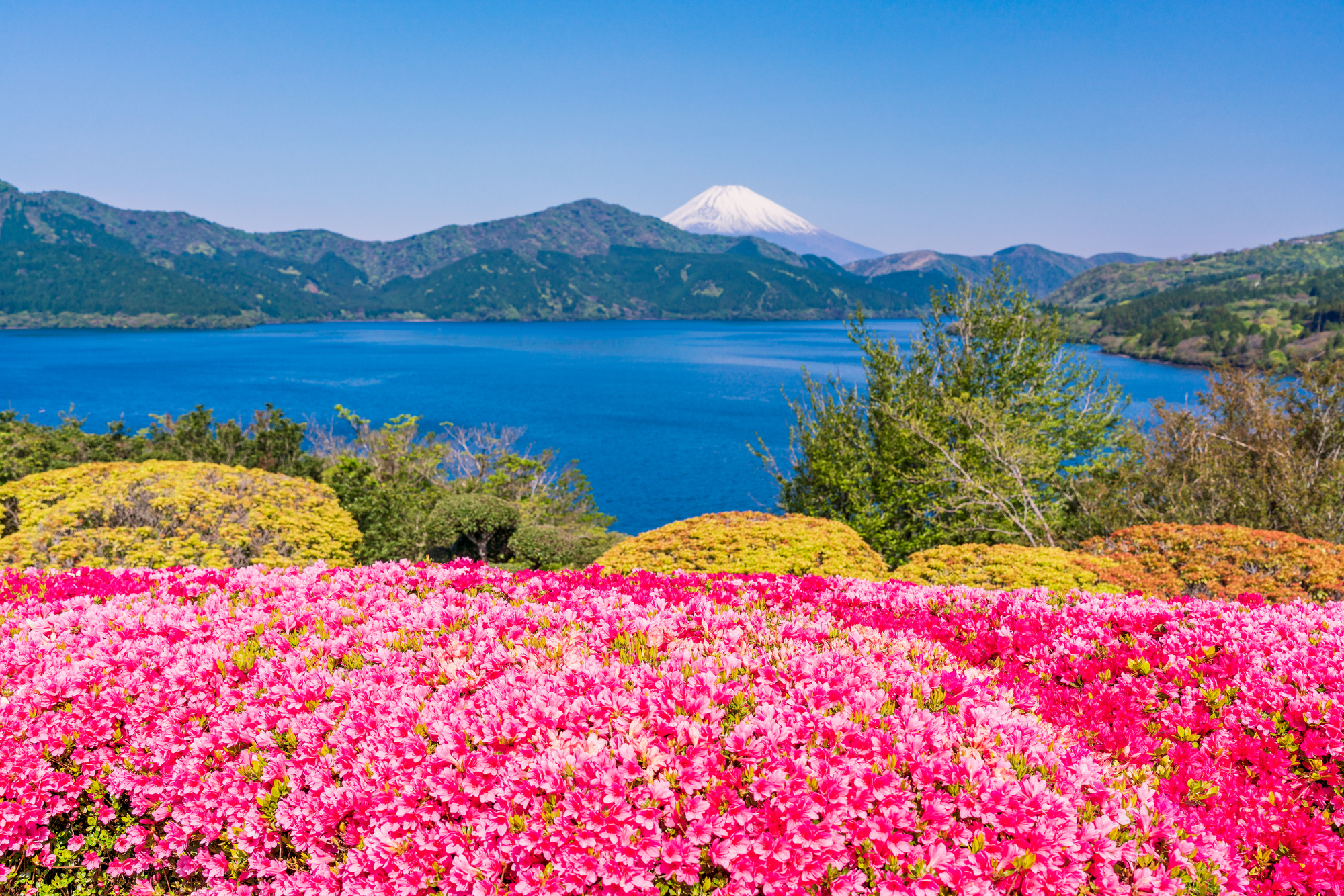 東京出發富士山 & 箱根一日遊（含午餐）