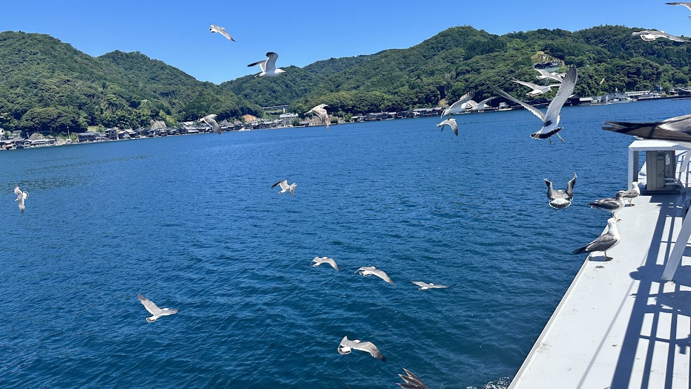 日本三景之天橋立&伊根舟屋&伊根灣美景欣賞一日遊（大阪或京都出發）