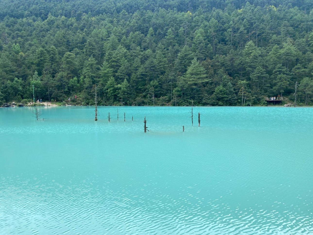 Enjoy a 6-day trip to Kunming, Dali and Lijiang in Yunnan (Jade Dragon Snow Mountain + Lijiang Ancient Town + Erhai Lake in Dali + Lijiang + Thousands of acres of rice fields + Glacier Cableway + Special Food + Light Luxury Accommodation + Round Trip to K