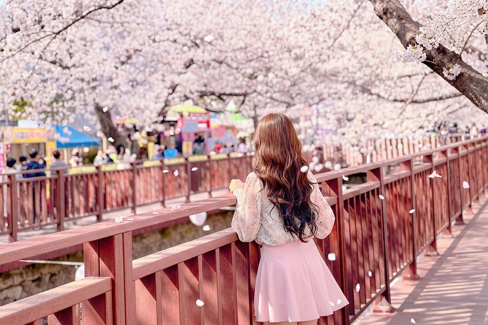 鎮海櫻花節（Gunhangje）