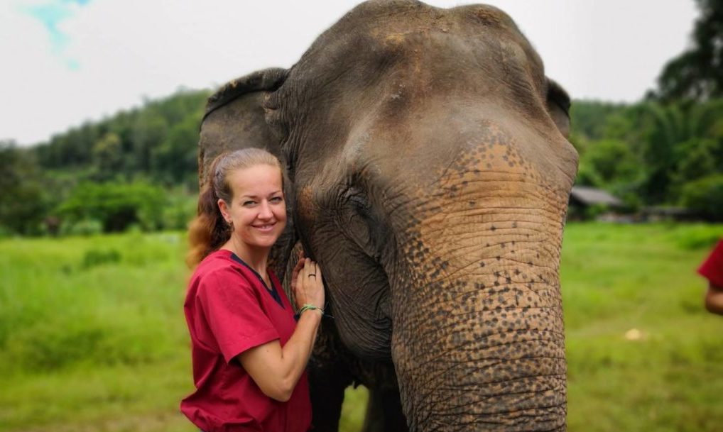 Ran Tong Elephant Experience in Chiang Mai