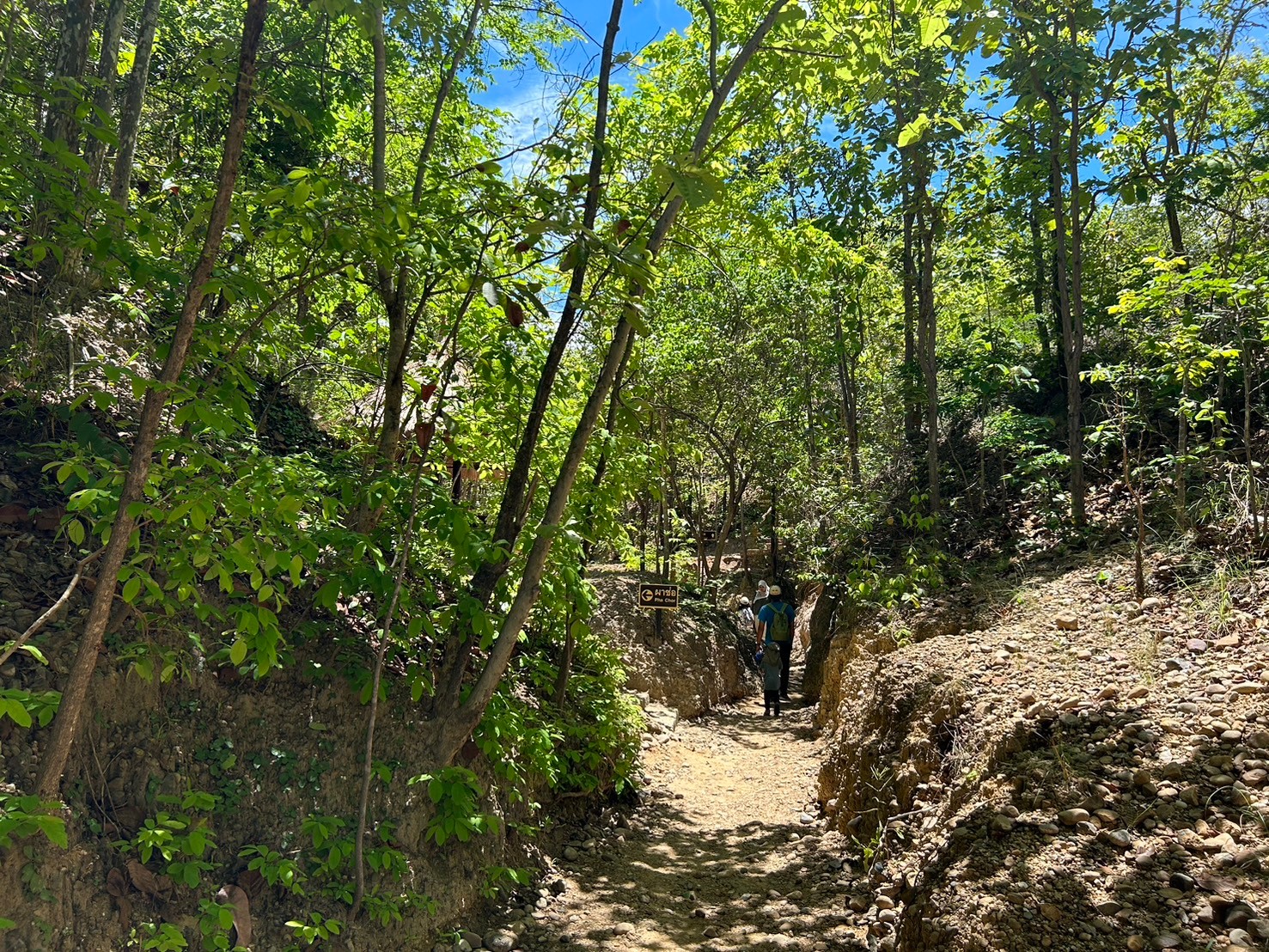 Full Day Private Tour Doi Inthanon National Park & Pha Chor Canyon