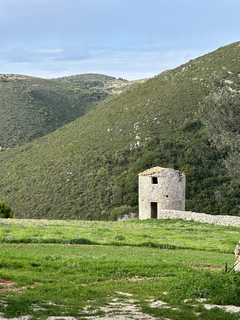 Zakynthos Premium 4x4 Island Experience