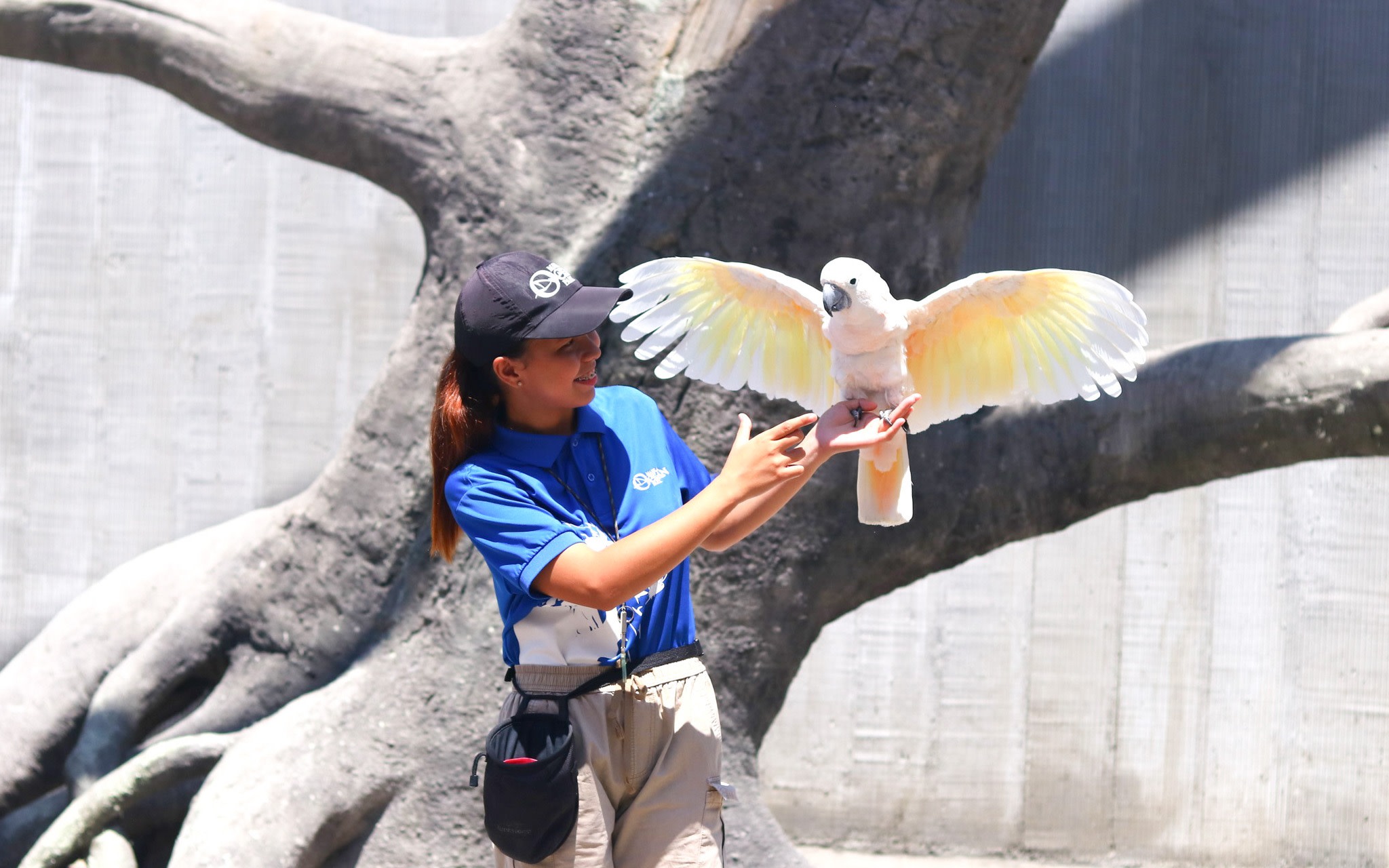 Philippine Biodome Ticket in Manila