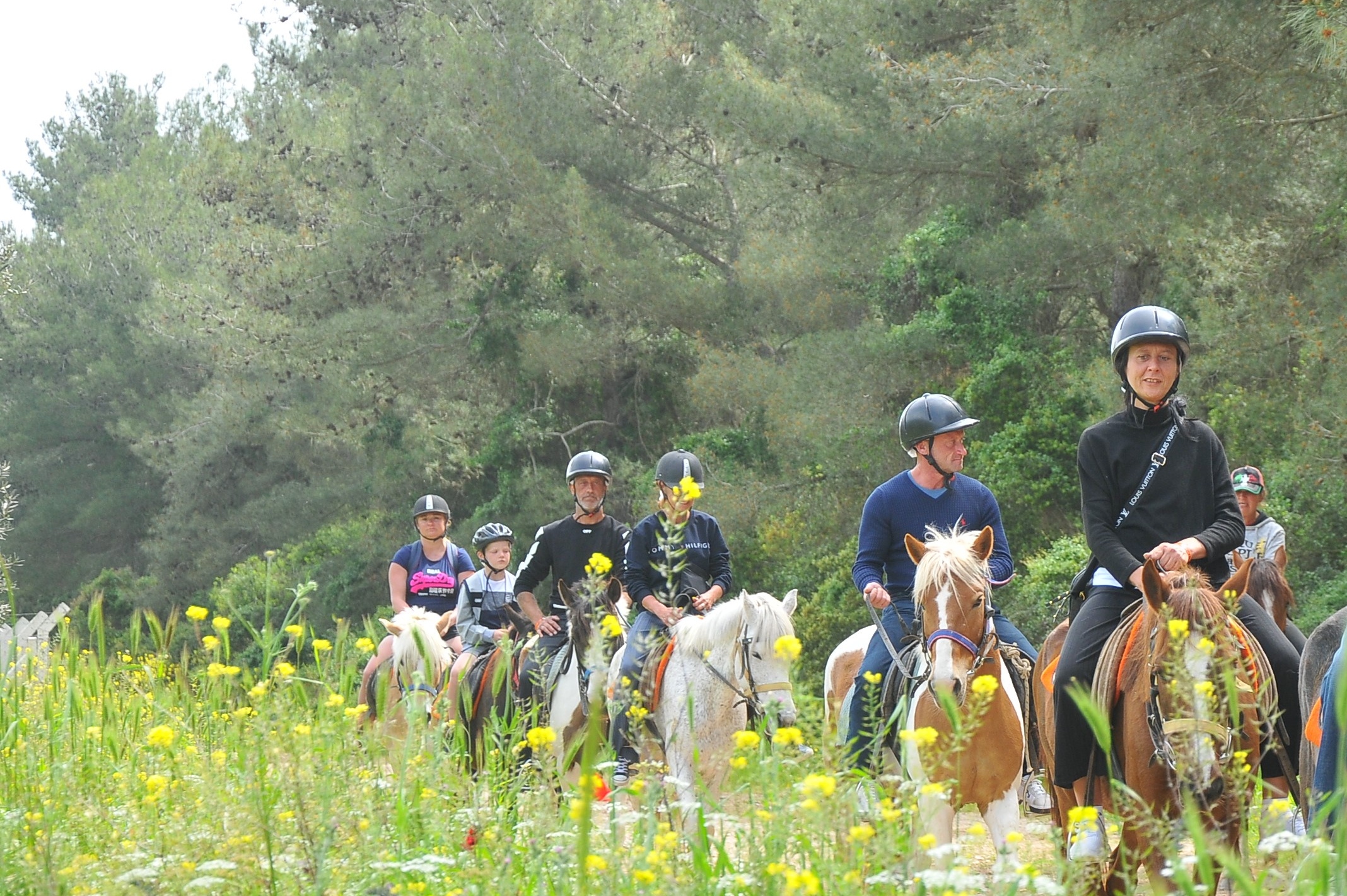 Horseback Riding Experience in Kusadasi 