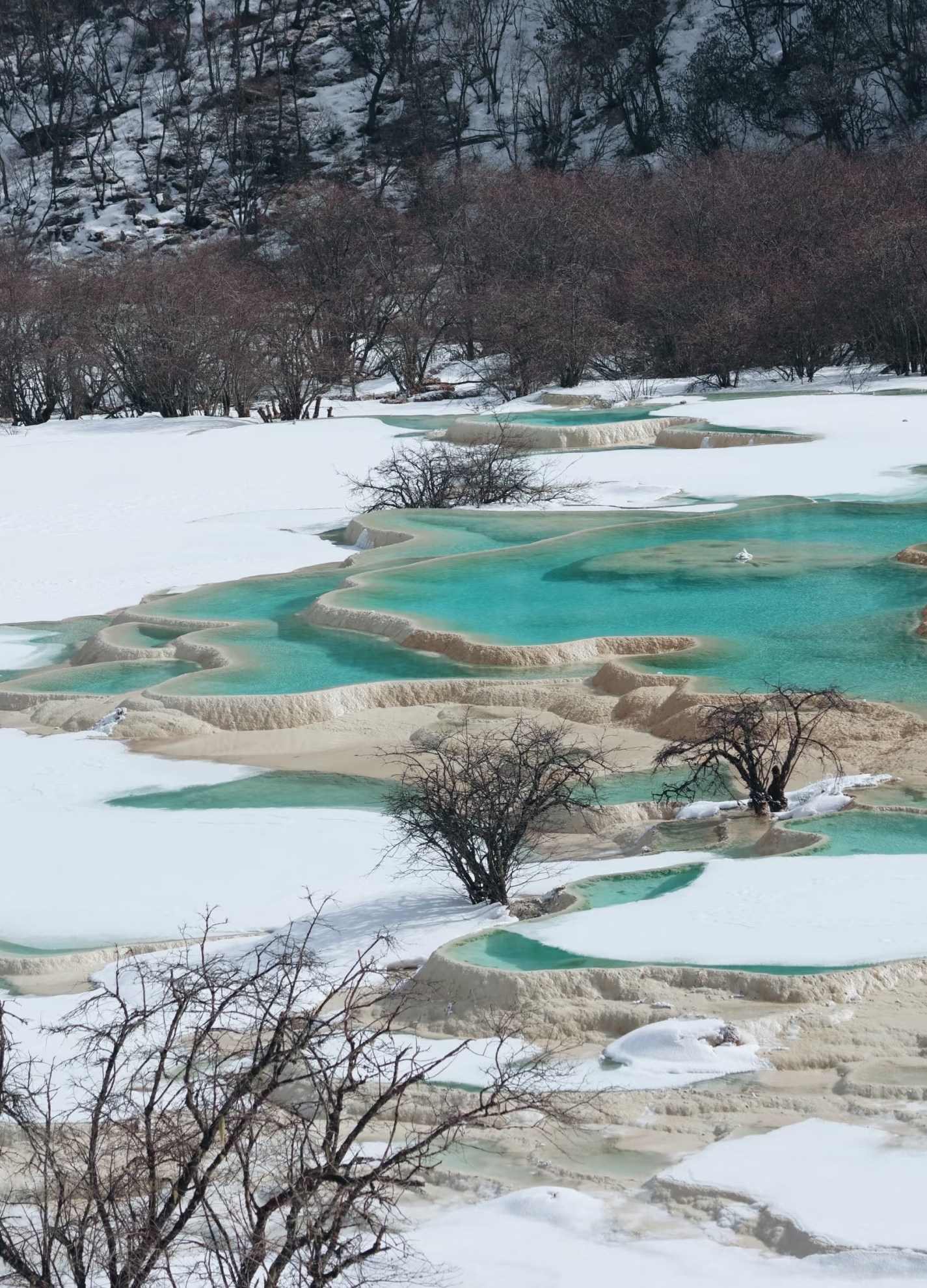 第三天早上08:00左右：在飯店用餐之後，開始今天的行程。
09:30左右：到達【黃龍風景區】遊玩3-4小時，黃龍景區是中國唯一保護完好的高原溼地，海拔1700-3576米。黃龍以“四絕”著稱於世，分別是彩池、雪山、峽谷、森林。彩池便是五彩池，也是黃龍溝內最大的一組彩池群，更是當今世界上規模最大、海拔最高的露天鈣華彩池群。可謂是來黃龍玩最不能錯過的景點。索道上山後，先會到達望龍坪，這裡是遠眺雪山的最佳場所，這裡隨便拍照都很出片