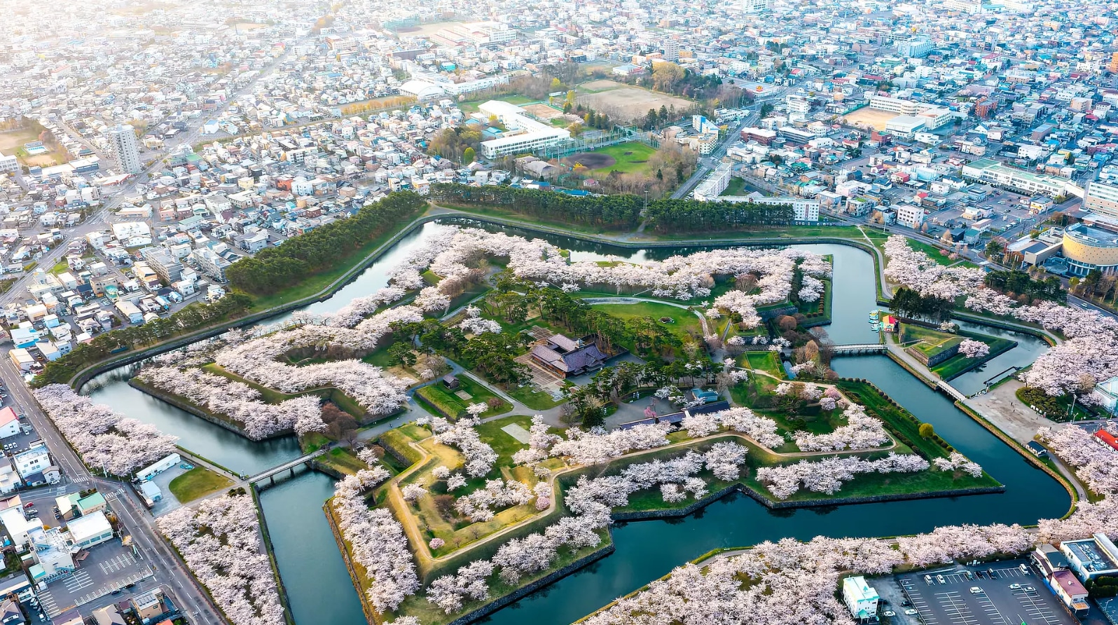 【日本北海道包車一日遊 櫻花季限定】 函館出發結束｜行程自由搭配