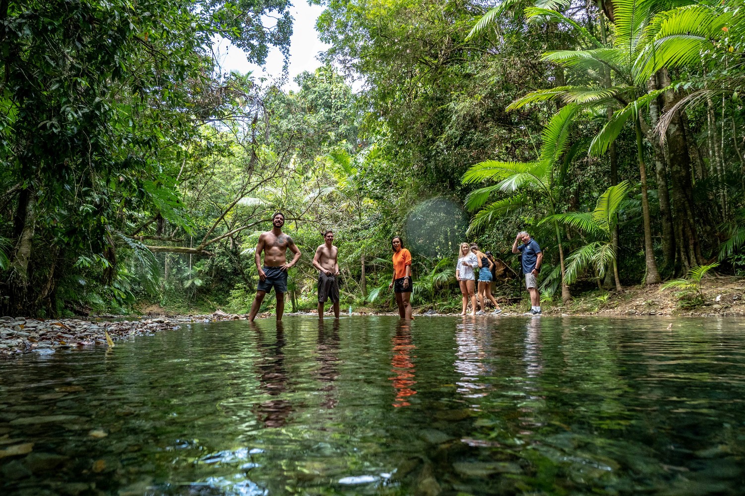 Daintree Rainforest Day Tour From Port Douglas