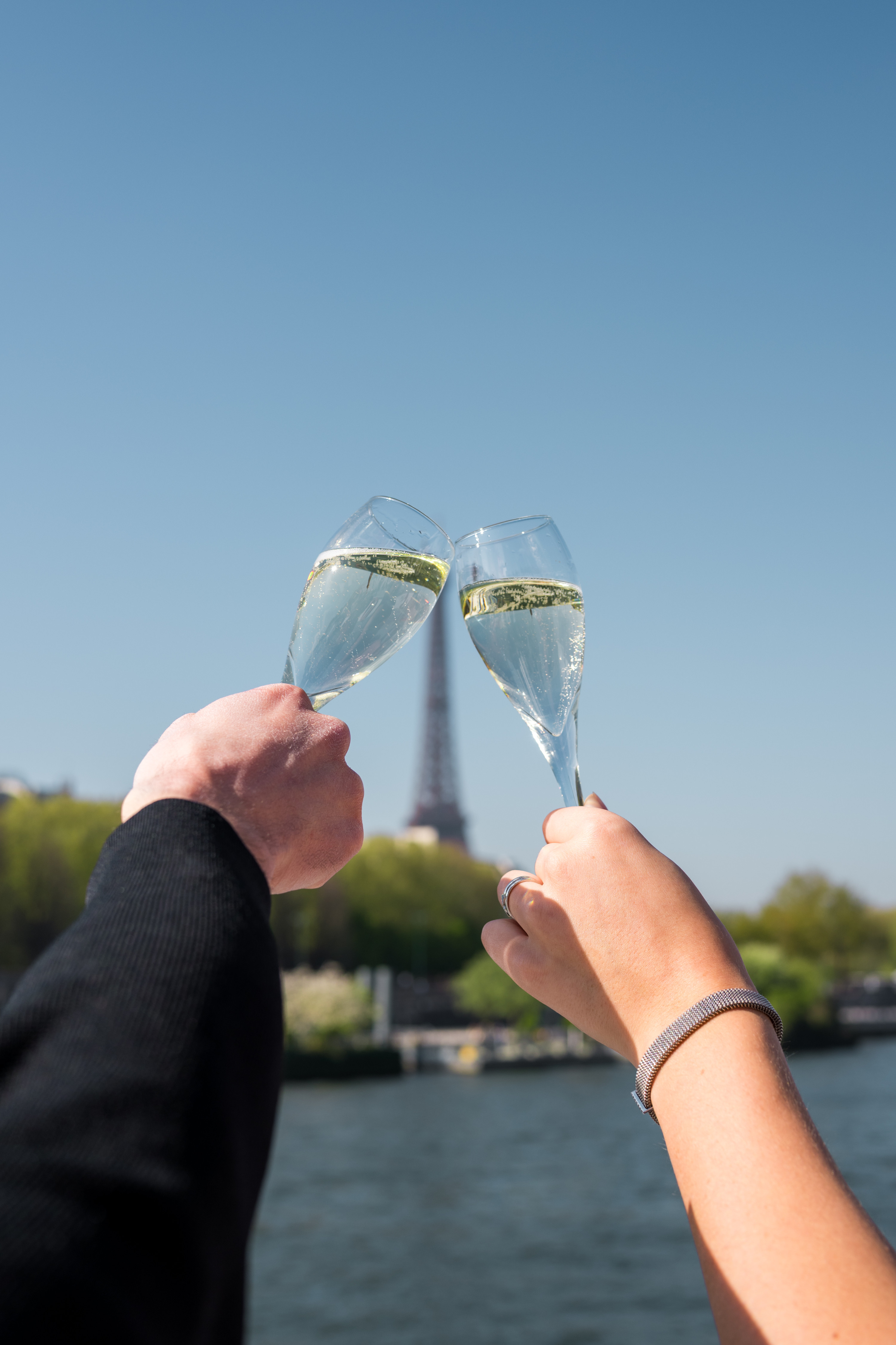 Sparkling Champagne Cruise on Bateaux Mouches in Paris