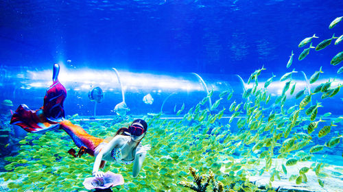 China Fish Vision Ocean Kingdom