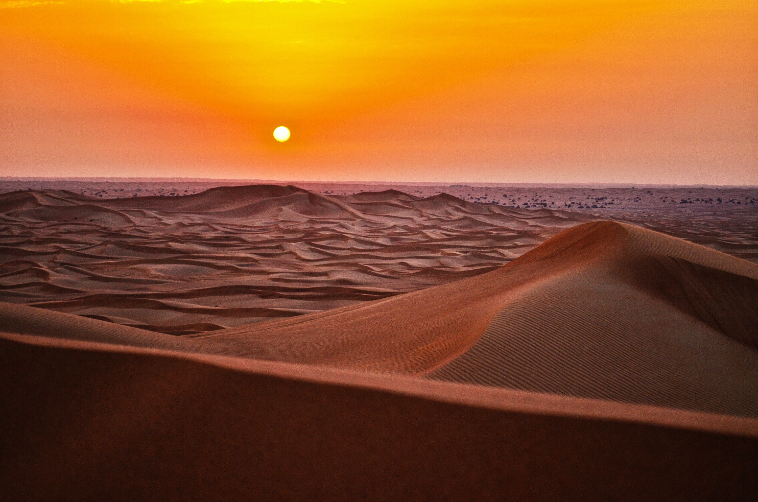  Doha Desert Safari: Thrilling Adventures in the Heart of the Dunes