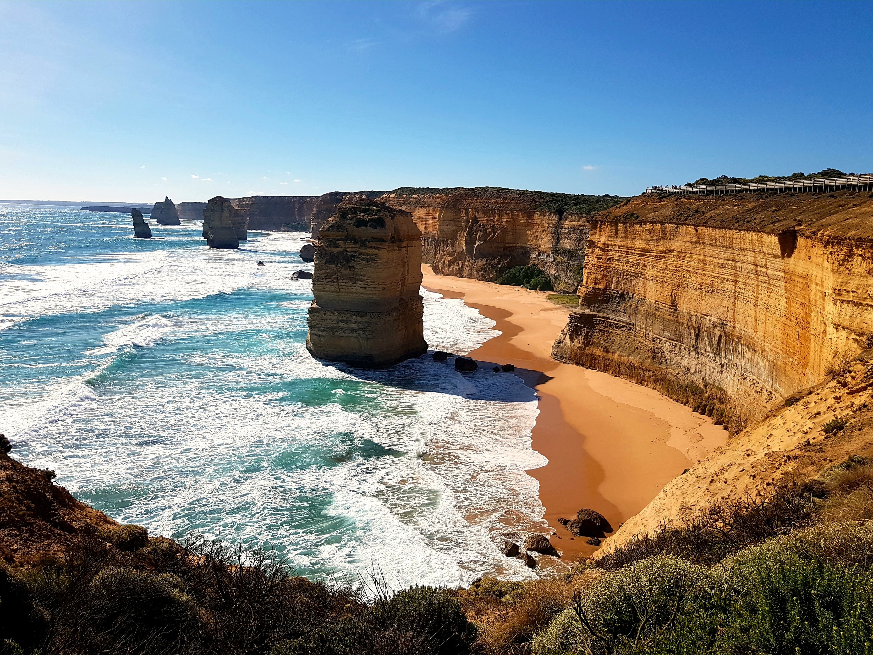 Great Ocean Road Coastal Spectacular & Wildlife Luxe Bus Tour