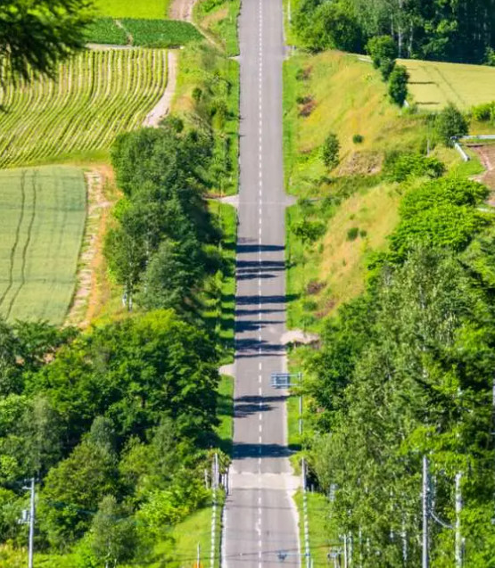 是美瑛最具代表性的“公路風景線”。