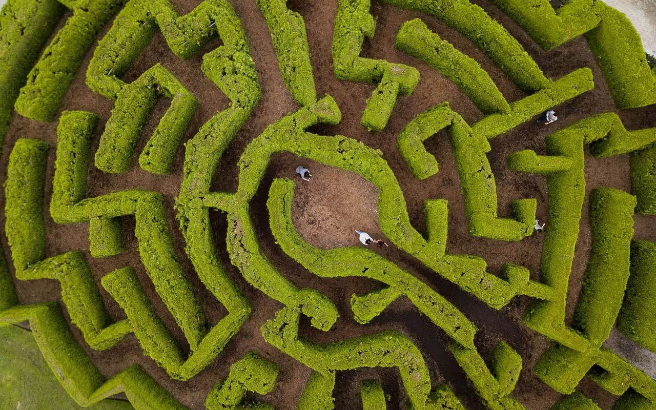 漫步於這片令人驚嘆的綠色迷宮，展開一場引人入勝的探索之旅