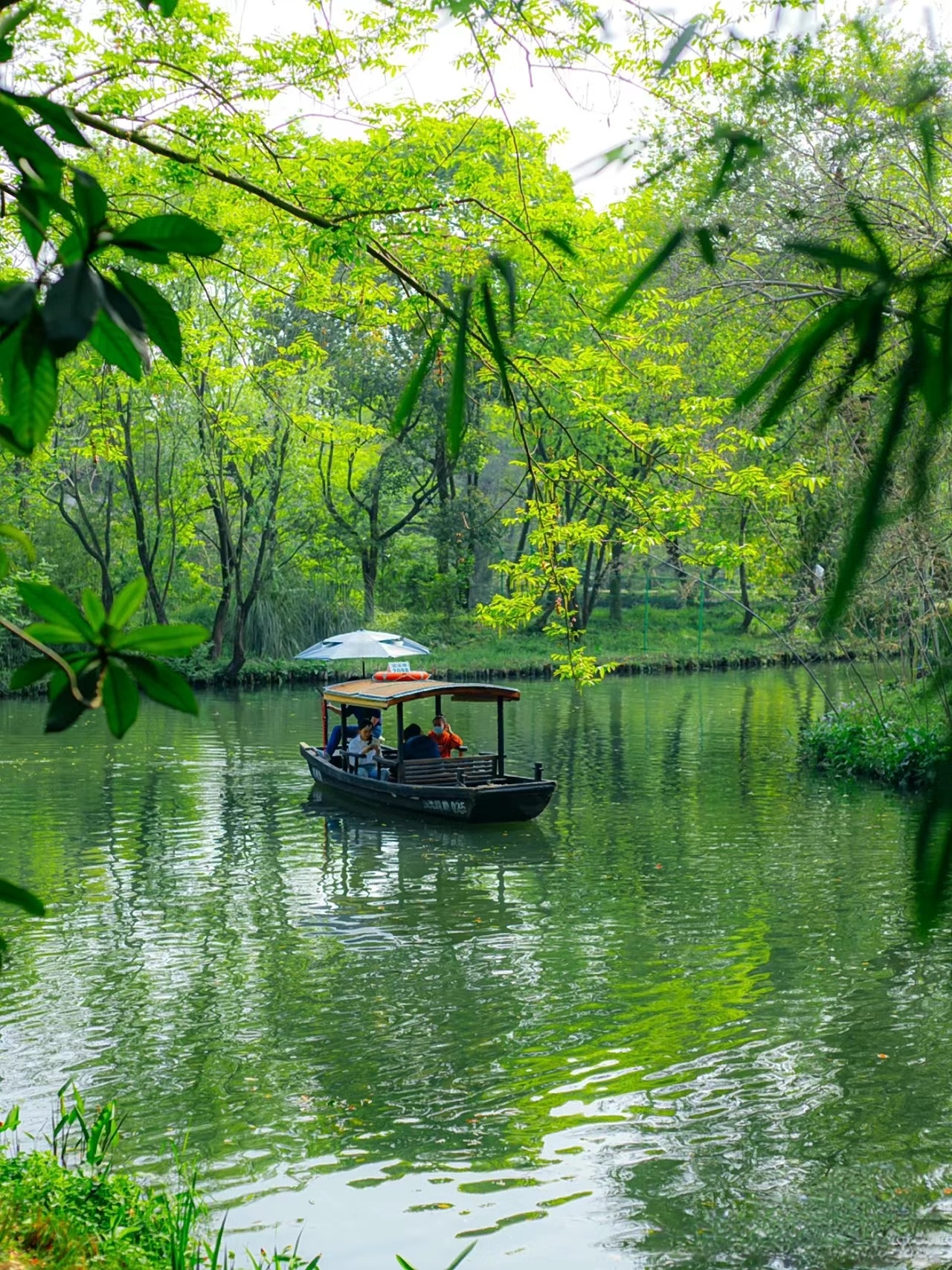 西溪溼地搖櫓船體驗 西溪溼地搖櫓船體驗