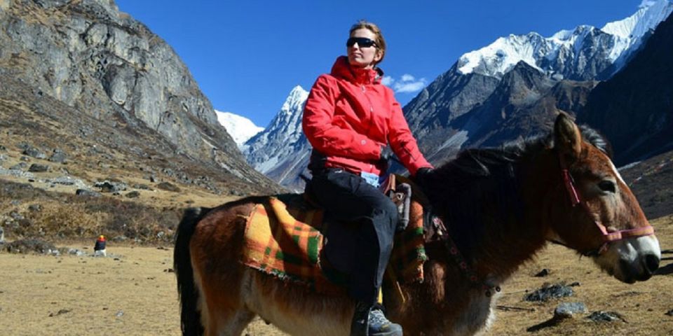 From Pokhara: Unforgettable Horseback Riding Adventure