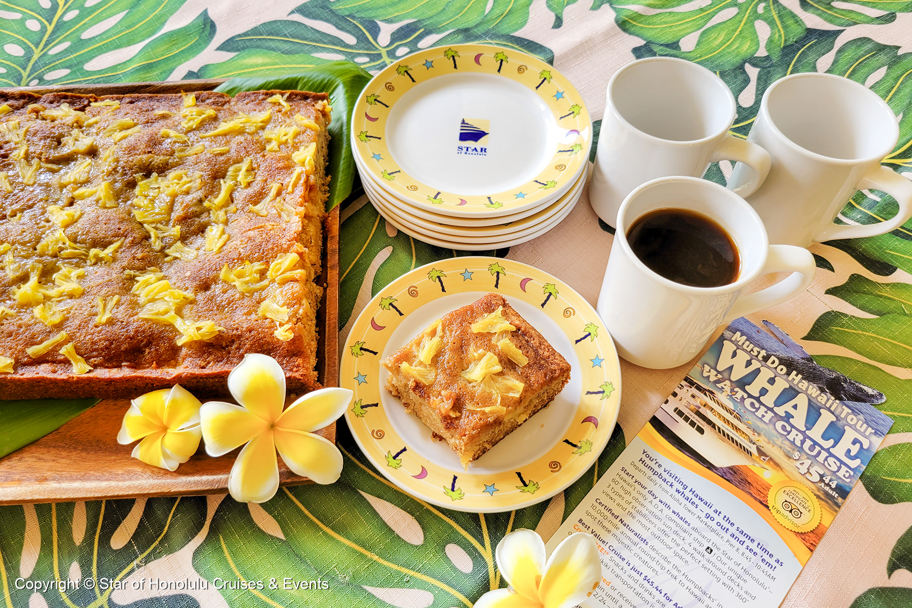 登上「檀香山之星 (Star of Honolulu)」遊船,與自然學家一同認識溫柔的海洋巨獸,同時品嚐自製鳳梨香蕉麵包與科納咖啡。 登上「檀香山之星 (Star of Honolulu)」遊船,與自然學家一同認識溫柔的海洋巨獸,同時品嚐自製鳳梨香蕉麵包與科納咖啡。