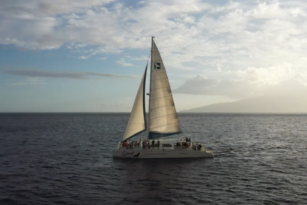 Sunset Cocktail and Whale Watch Cruise in Maui