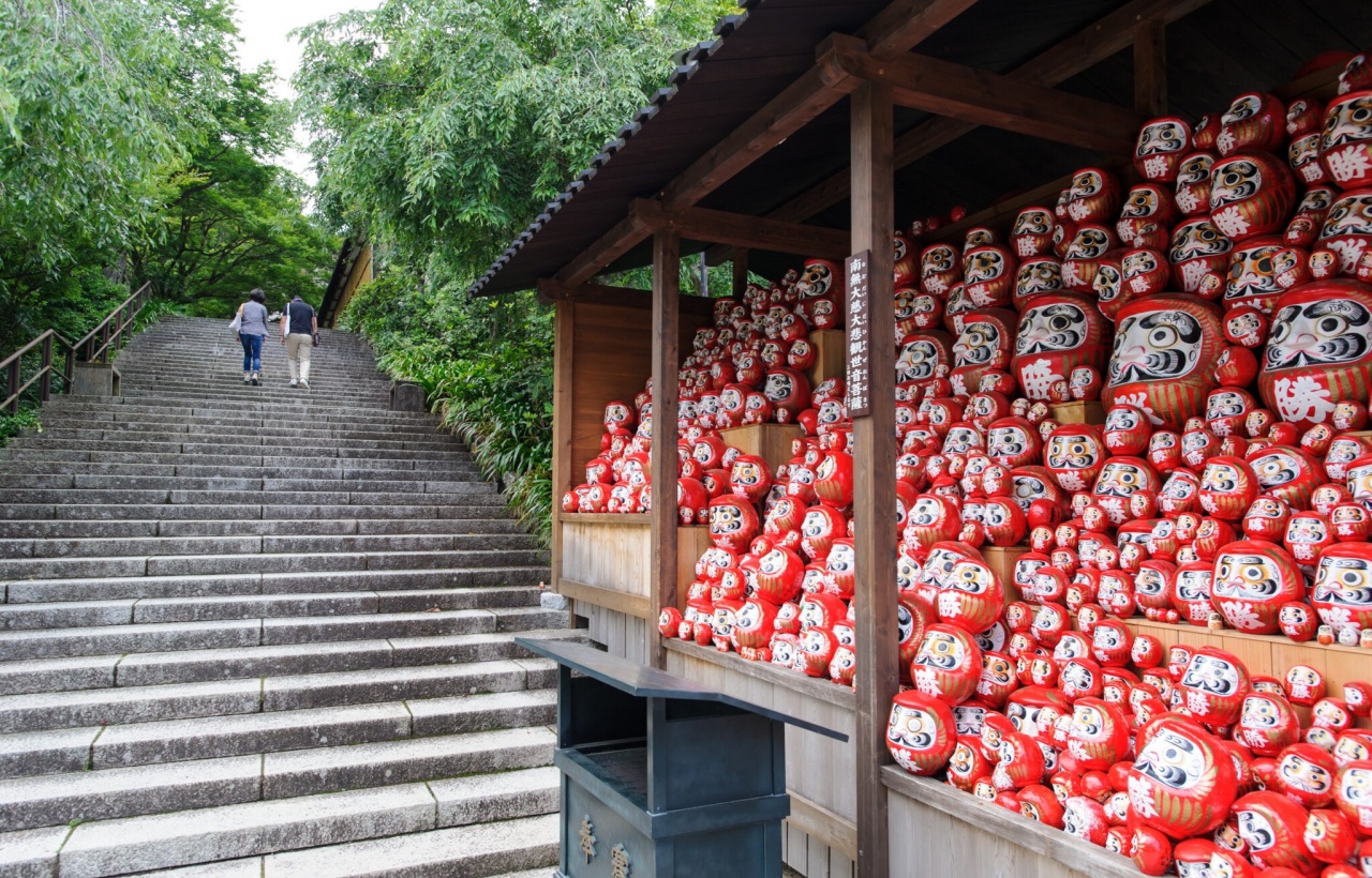 尋找滿寺達摩娃娃
寺內藏著上千個大小達摩，從階梯、石牆到水池都能發現它們，非常適合拍照打卡。
（很多達摩是旅客達成願望後奉納回寺的。）