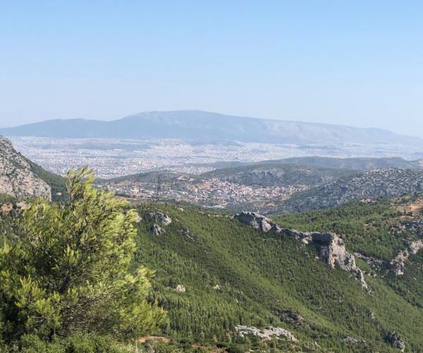 View Point