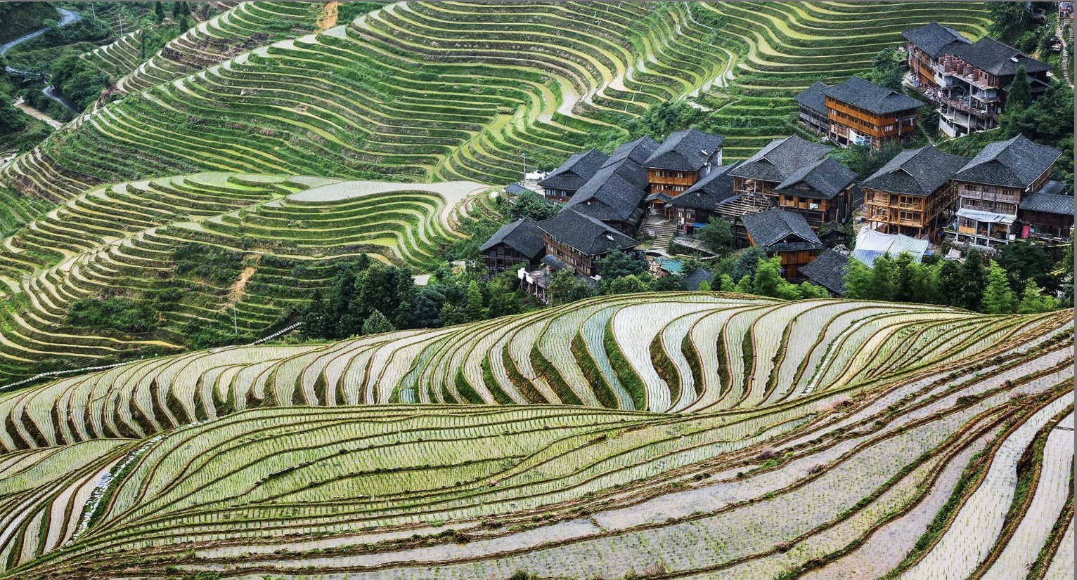 One-day tour of Longji Rice Terraces in Guilin