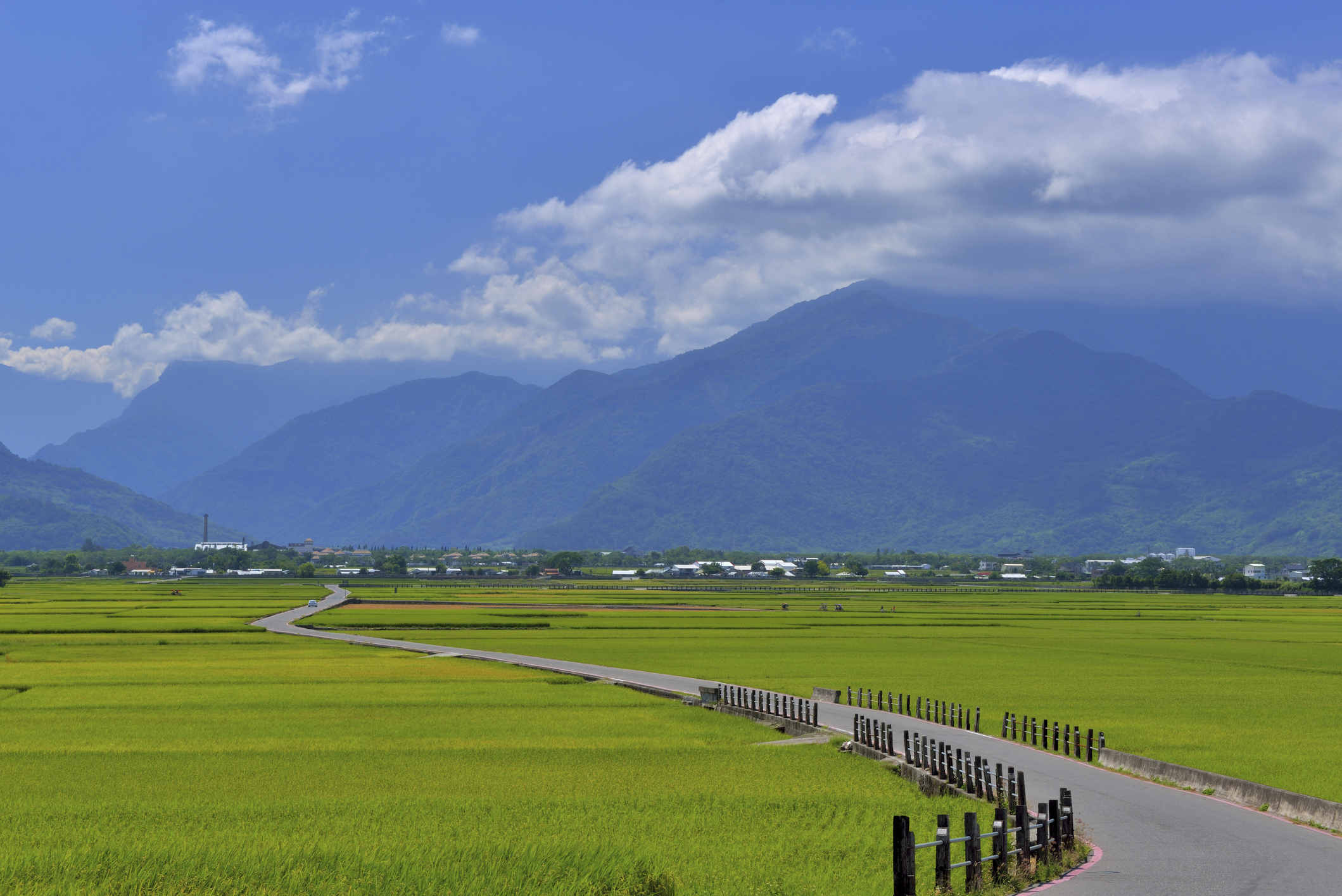 第三天：騎乘自行車，暢遊池上自行車道，飽覽稻田風光。