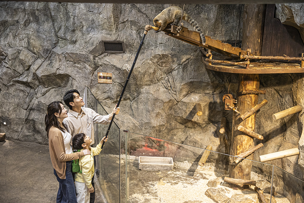 Gyeonggi Hanam Zoolung Zoolung Indoor Animal Theme Park Ticket