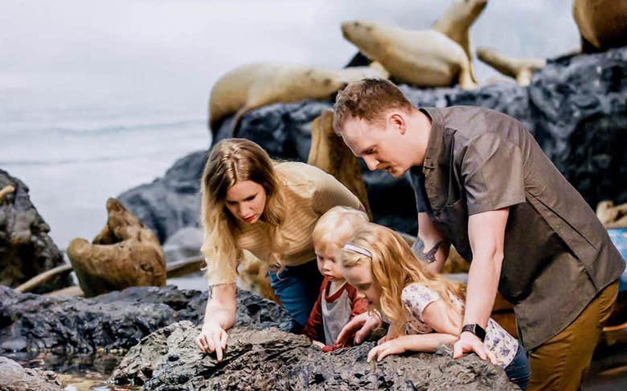 透過栩栩如生且具教育意義的野生動物立體模型，展開一場從深海到森林地面的奇幻旅程。
