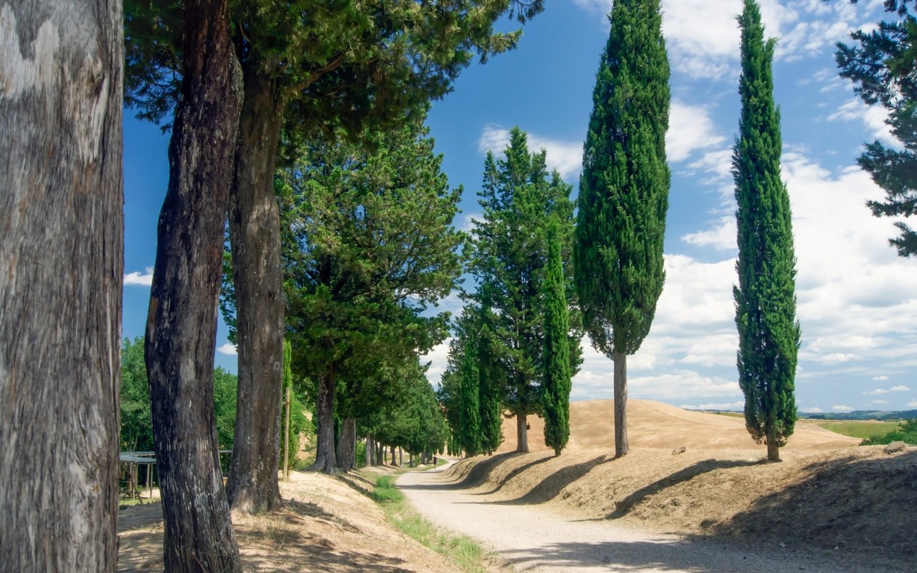 Florence Day Trip: Medieval Villages & Cooking Class