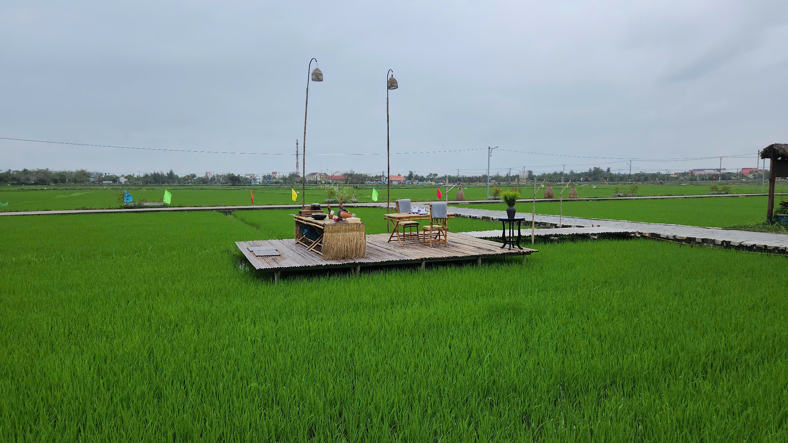 Paddy Field Dining with Sunset & Basket Boat Experience in Hoi An