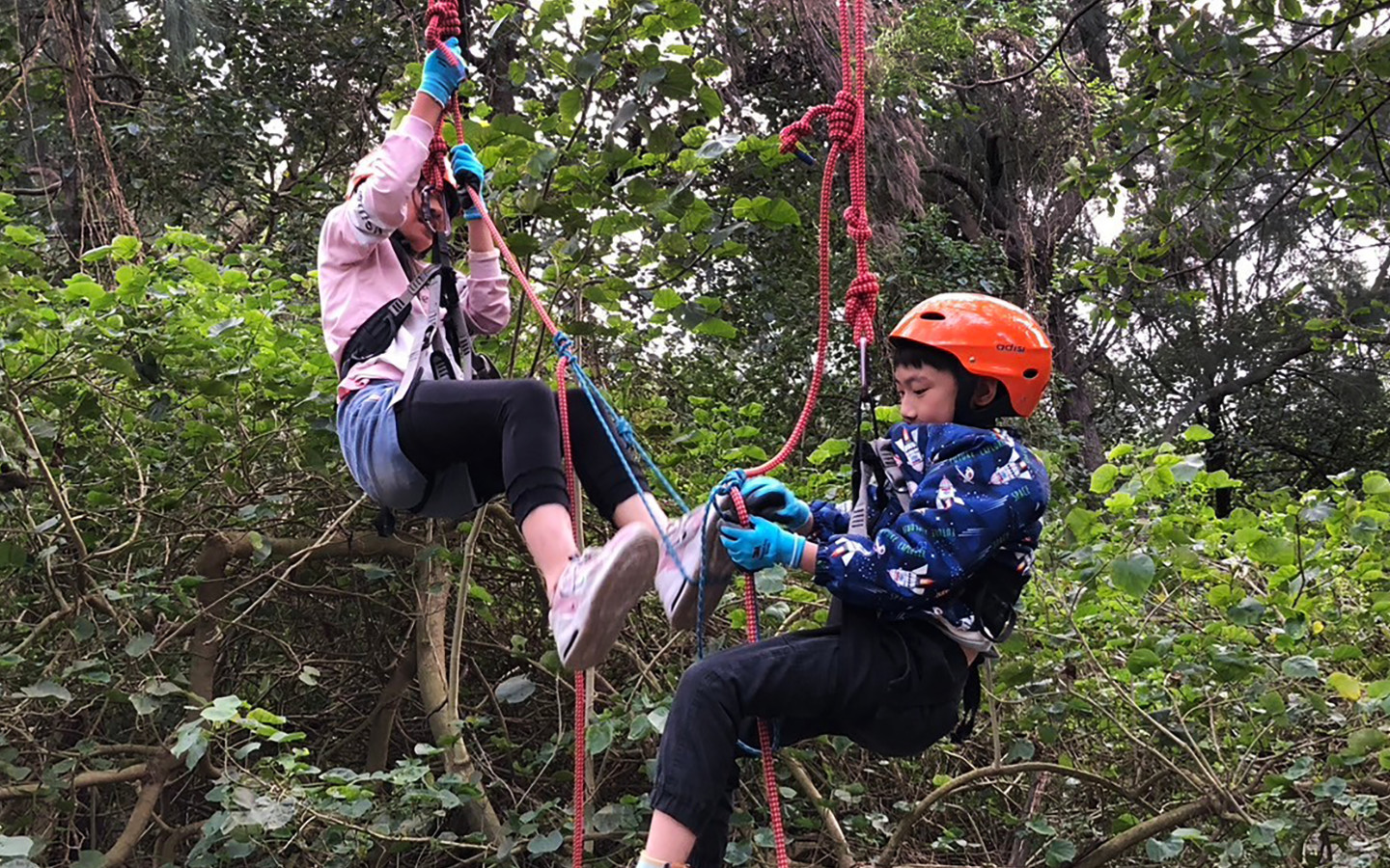 Taoyuan Xinwu: Coastal Forest Food Low-Carbon Experience (Tree Climbing Experience + Fish Ball DIY + Low-Carbon Hot Pot)