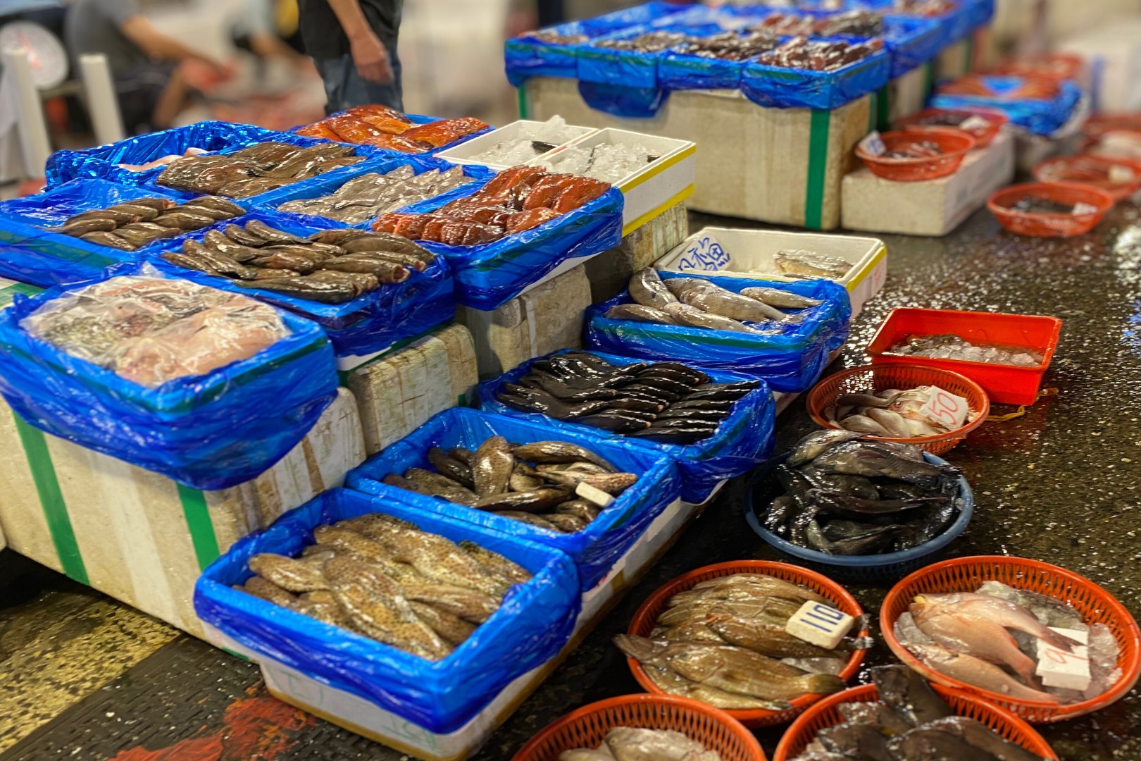 崁仔頂魚市是北台灣最大的漁貨集散地。