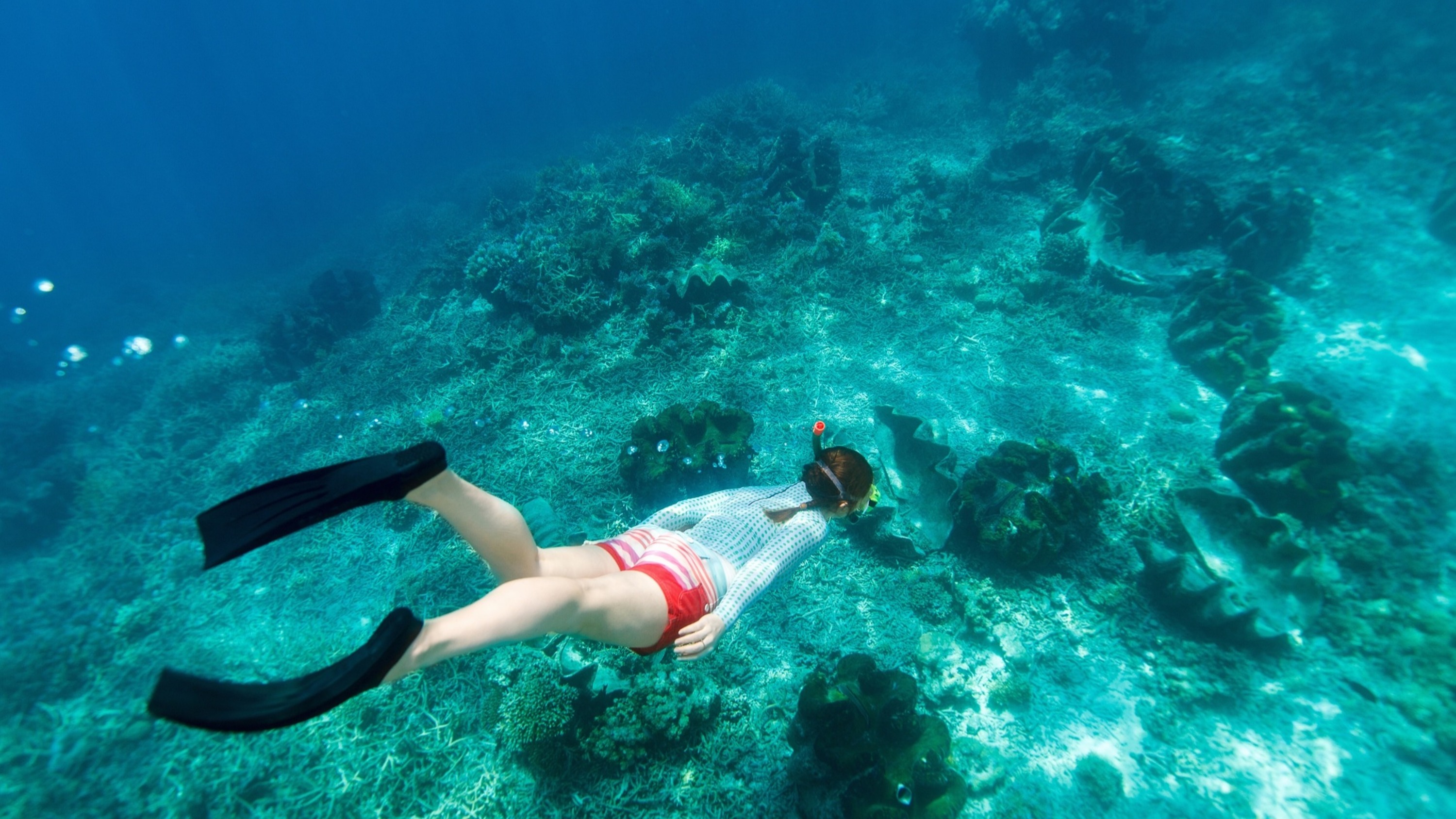Snorkeling experience in Dimaniyat Islands