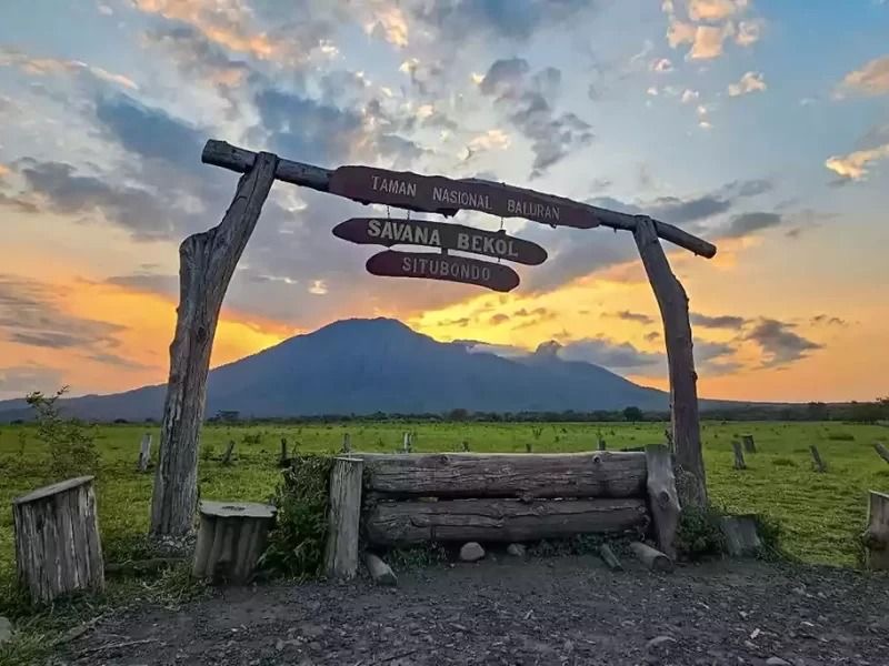 Tabuhan Island, Baluran National Park, Bama Beach Tour in Banyuwangi