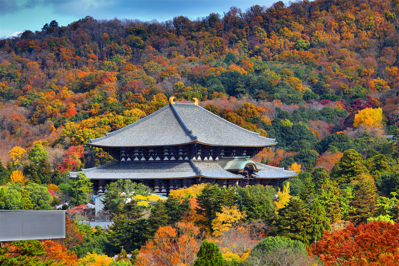 古都文化巡禮之旅：奈良東大寺, 京都伏見稻荷大社, 千本鳥居, 京都天龍寺, 世界文化遺產（大阪發車 | 京都/大阪下車）