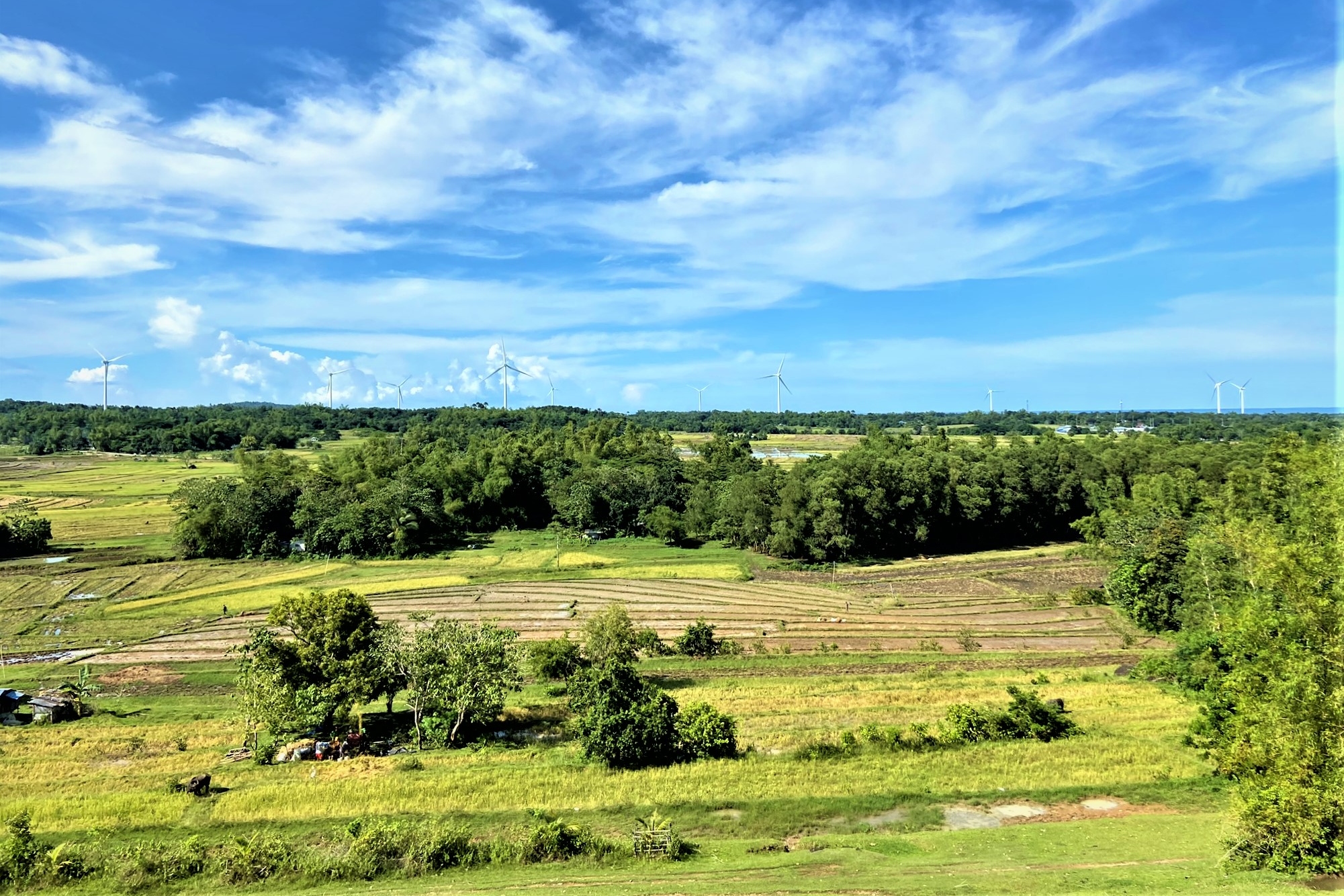 Guimaras Island Private Eco-Tour from Iloilo