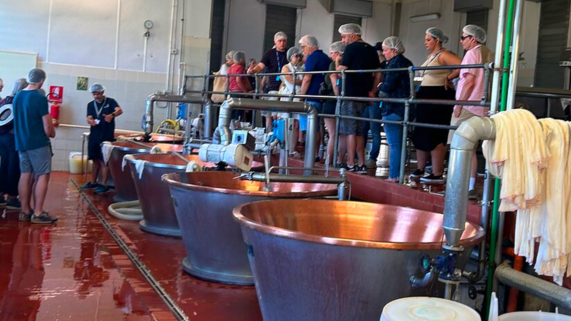 起司控看過來！想知道帕瑪森起司是如何製作的嗎？快來一探究竟！