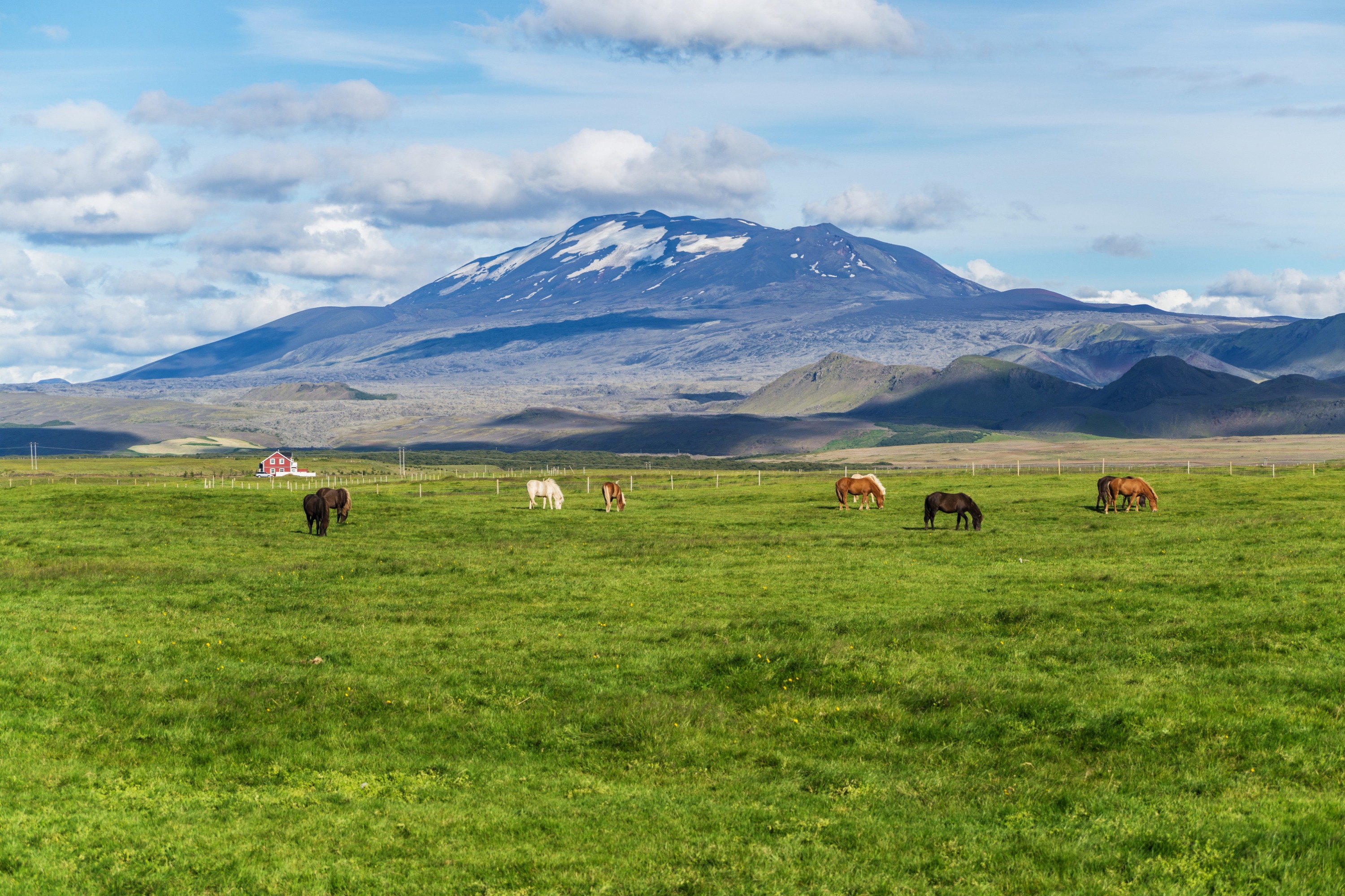 South Coast Classic Day Tour from Reykjavik