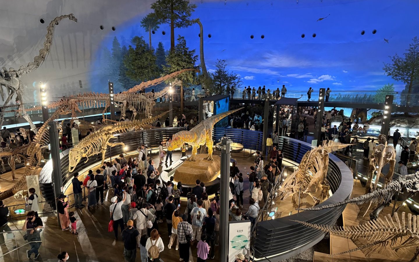  Kanazawa Fukui Dinosaur Museum Full-Day Small Group Tour