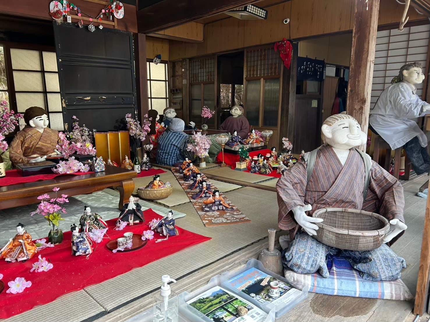 Image 5