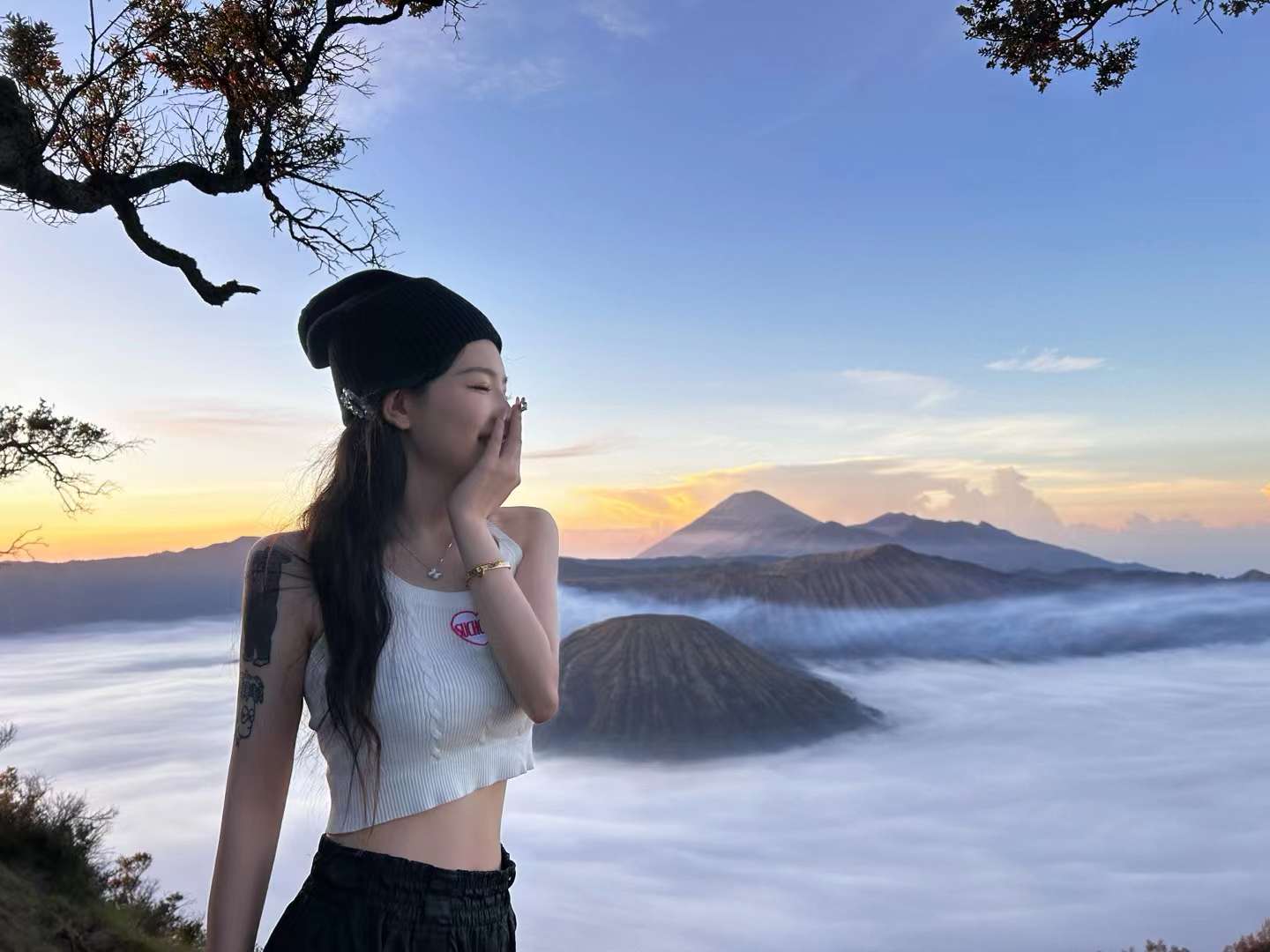 mount bromo landscape