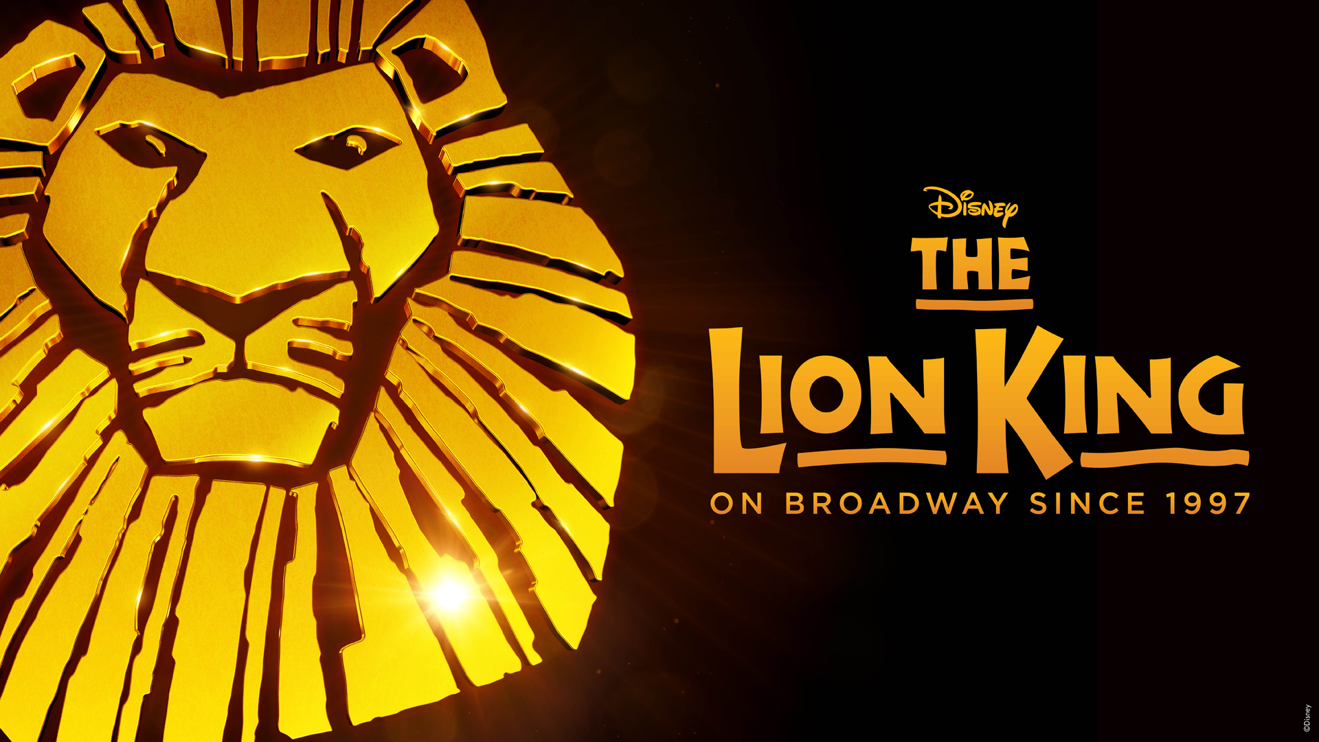 【New York Broadway Musical】The Lion King Tickets HyperAir