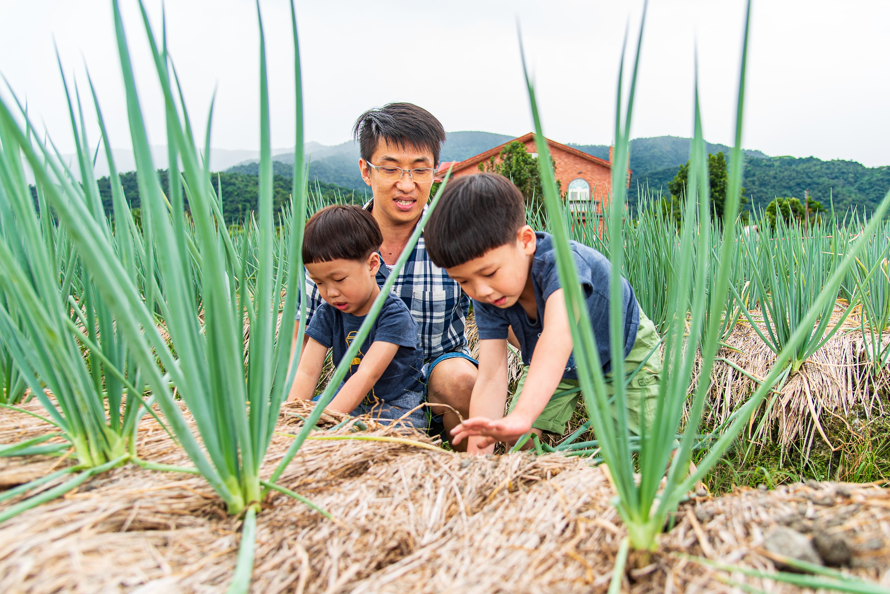 Yilan: Xingbao Onion Experience Farm - Animal Guide & Onion Pie DIY