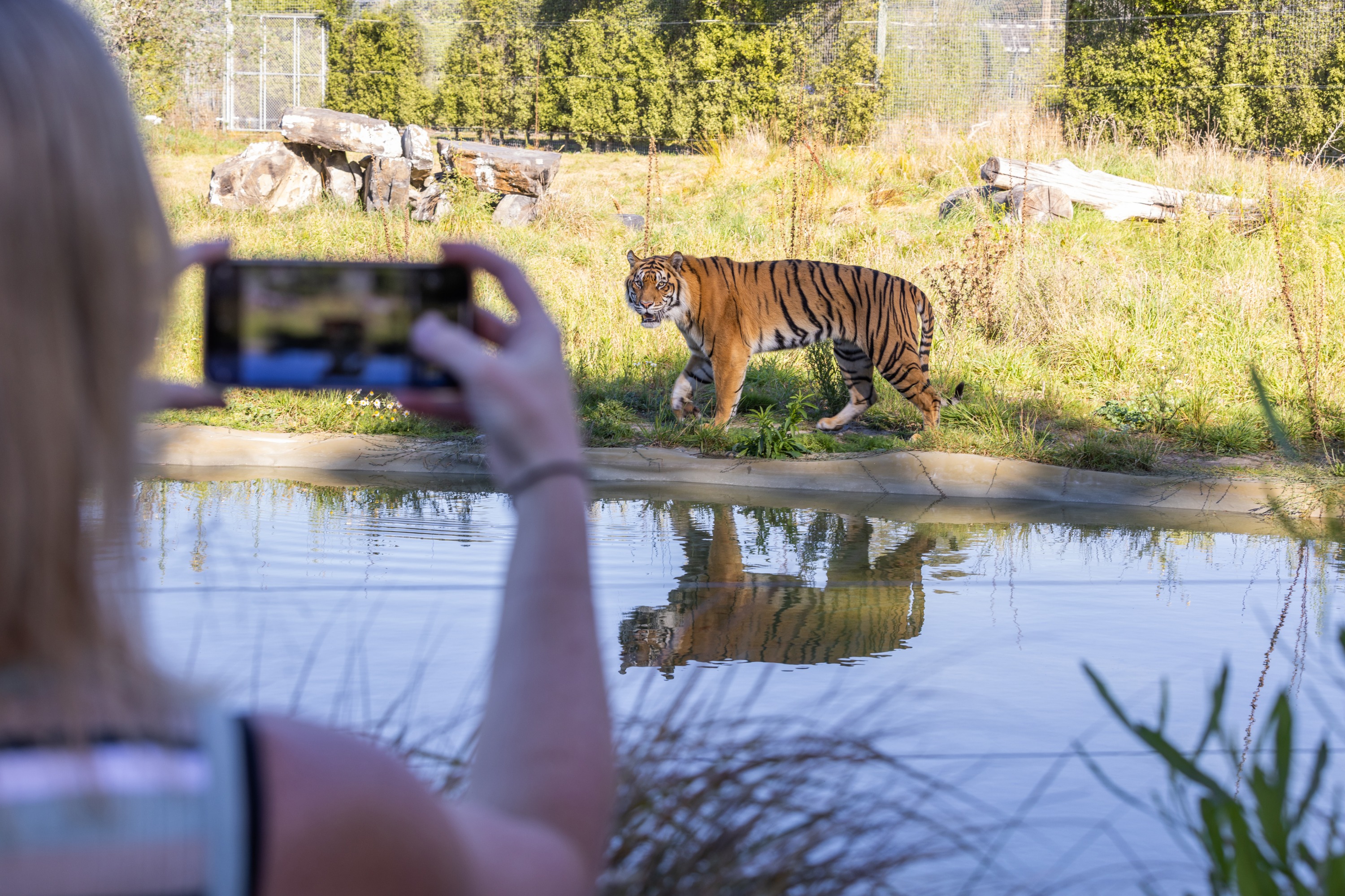 基督城 Orana Wildlife Park 野生動物園門票