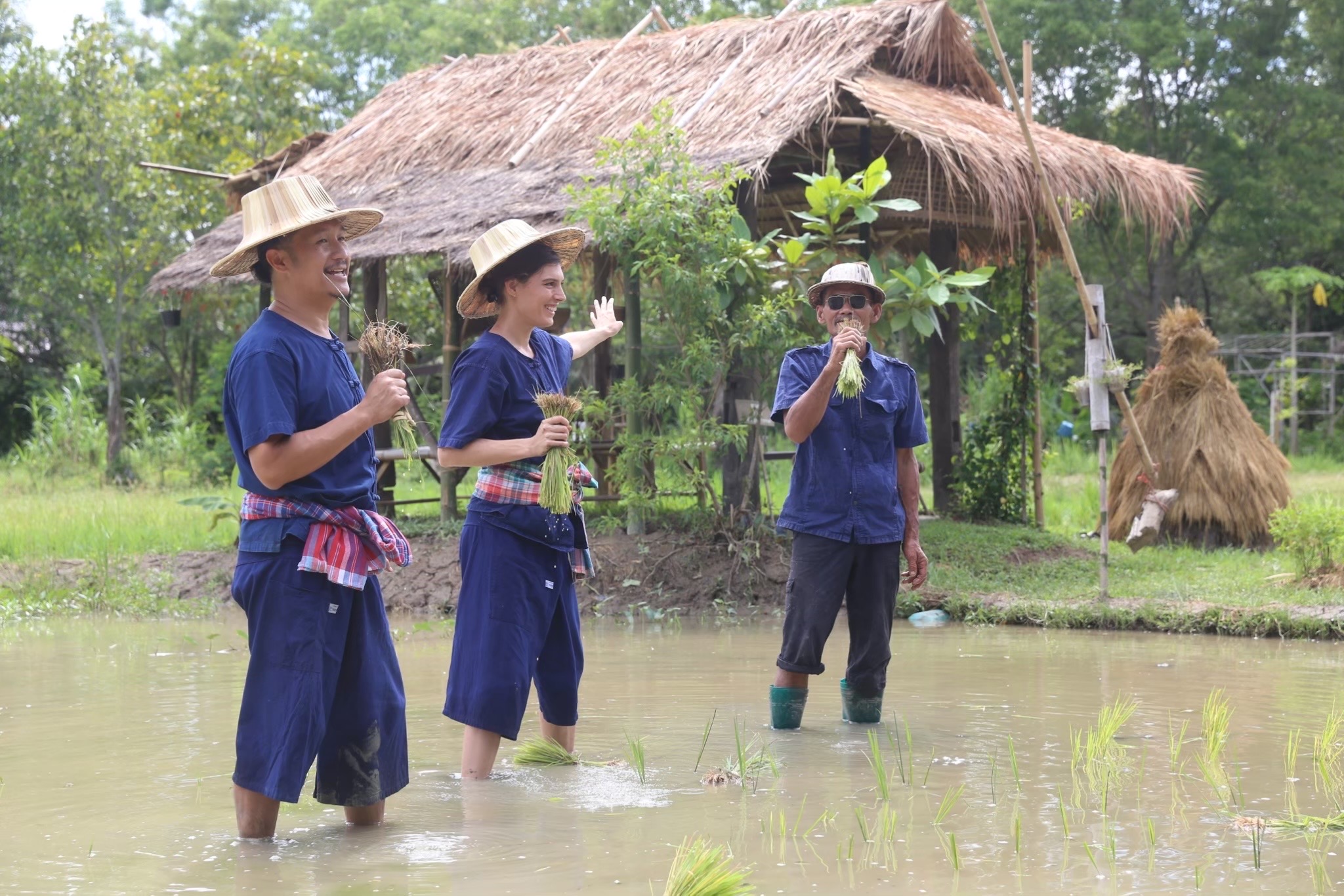 Experience as a local farmer Chiang Mai Thailand