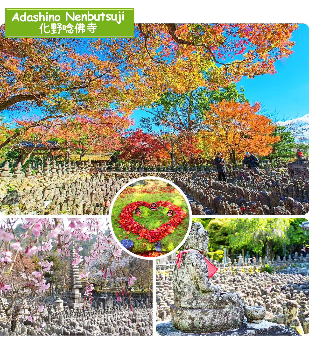 Kadashi-no-Nenbutsuji Temple is a quiet ancient temple in Kyoto, filled with countless stone Buddhas and thousands of lanterns, creating a peaceful and mysterious atmosphere of a pure land for the soul.
