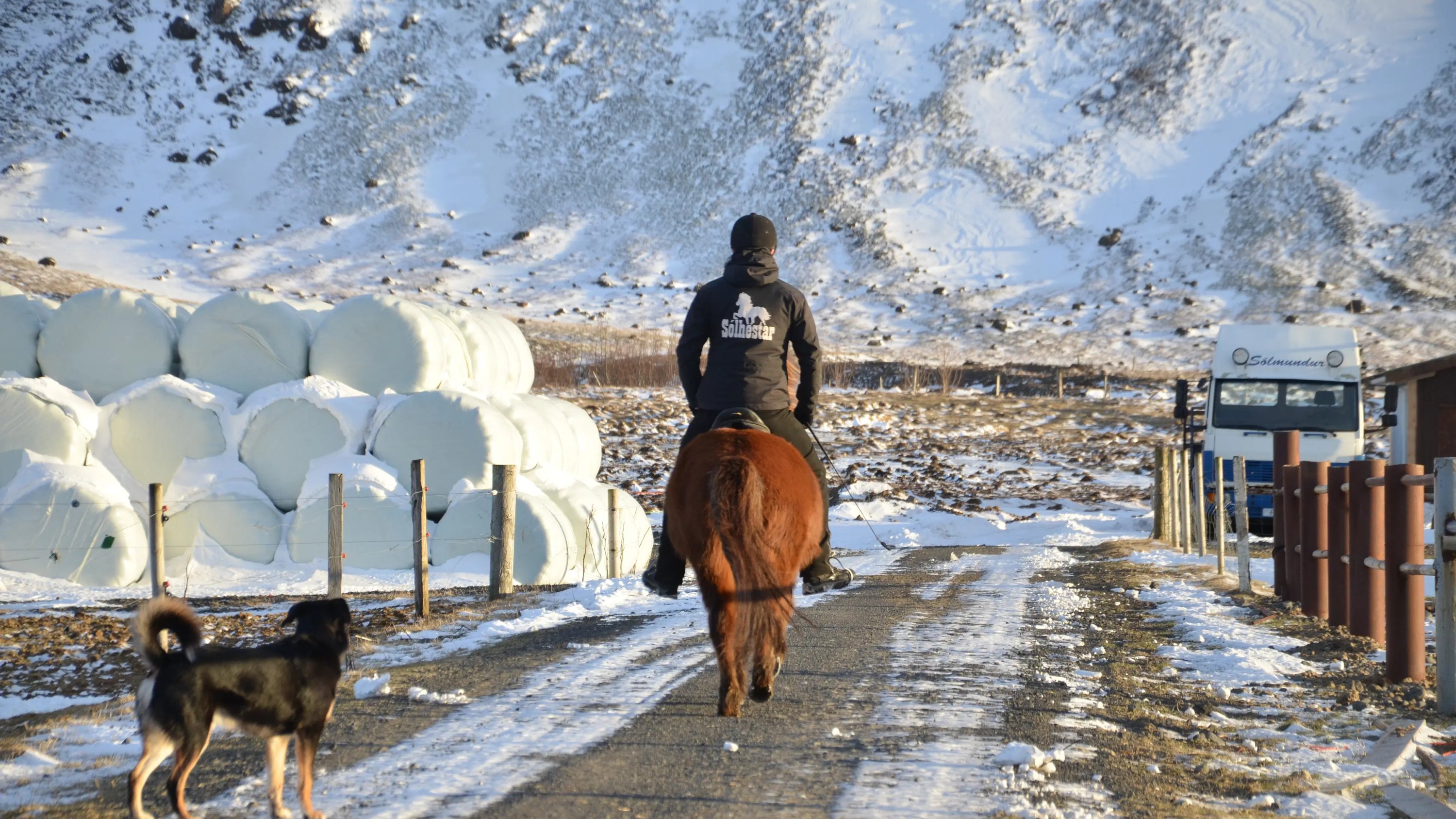 Horse riding at Reykjadalur Hot Spring Steam Valley in Hveragerdi