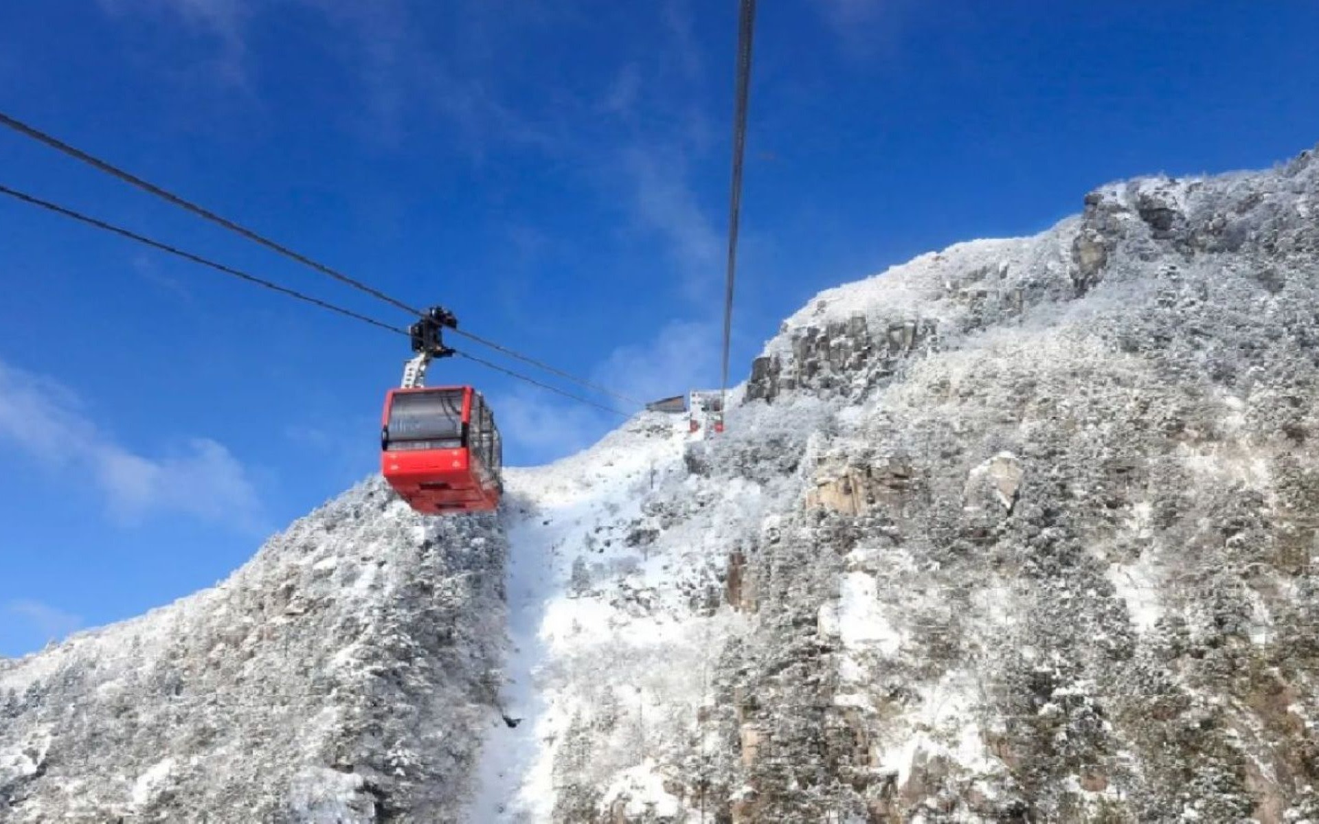 Nabana no Sato, Gozaisho Frozen Tree and Outlet Tour from Osaka