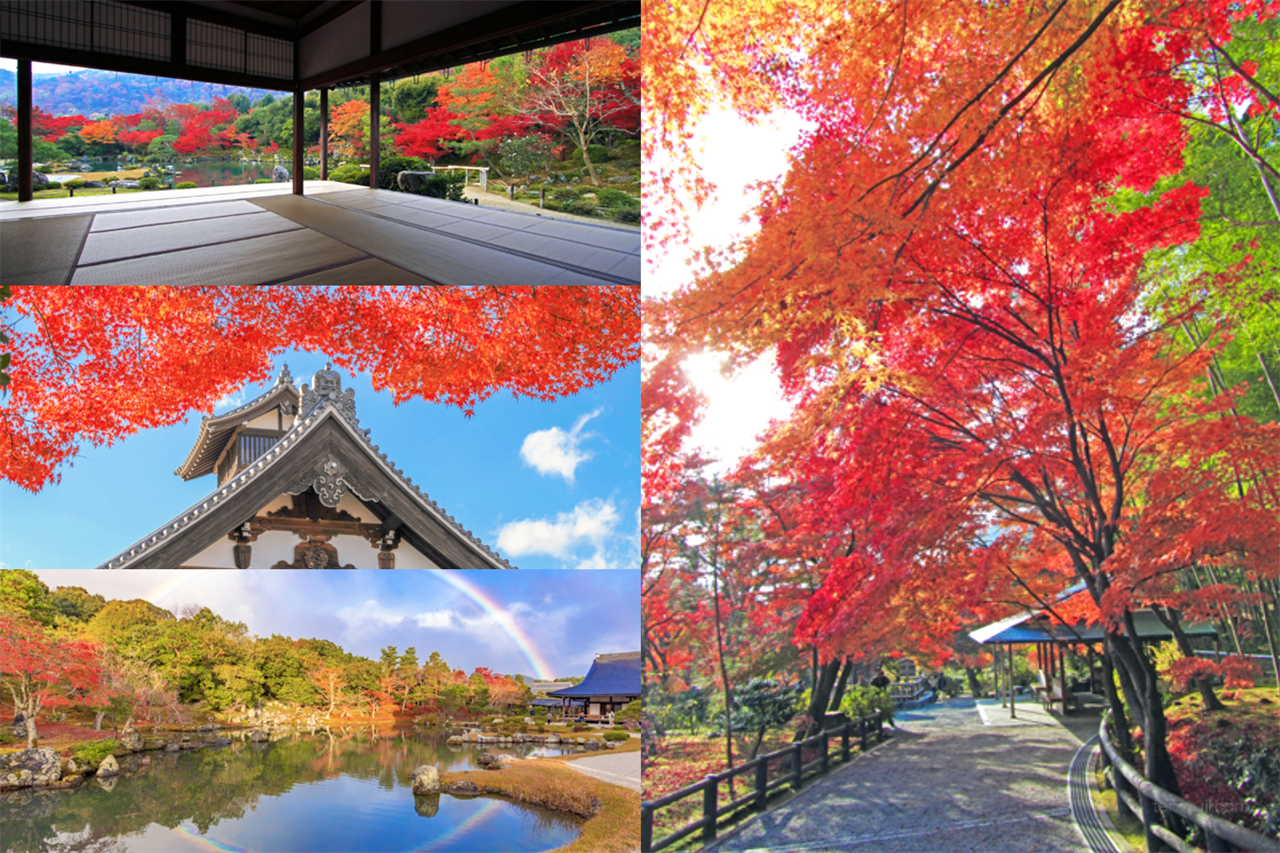 古都文化巡禮之旅：奈良東大寺, 京都伏見稻荷大社, 千本鳥居, 京都天龍寺, 世界文化遺產（大阪發車 | 京都/大阪下車）